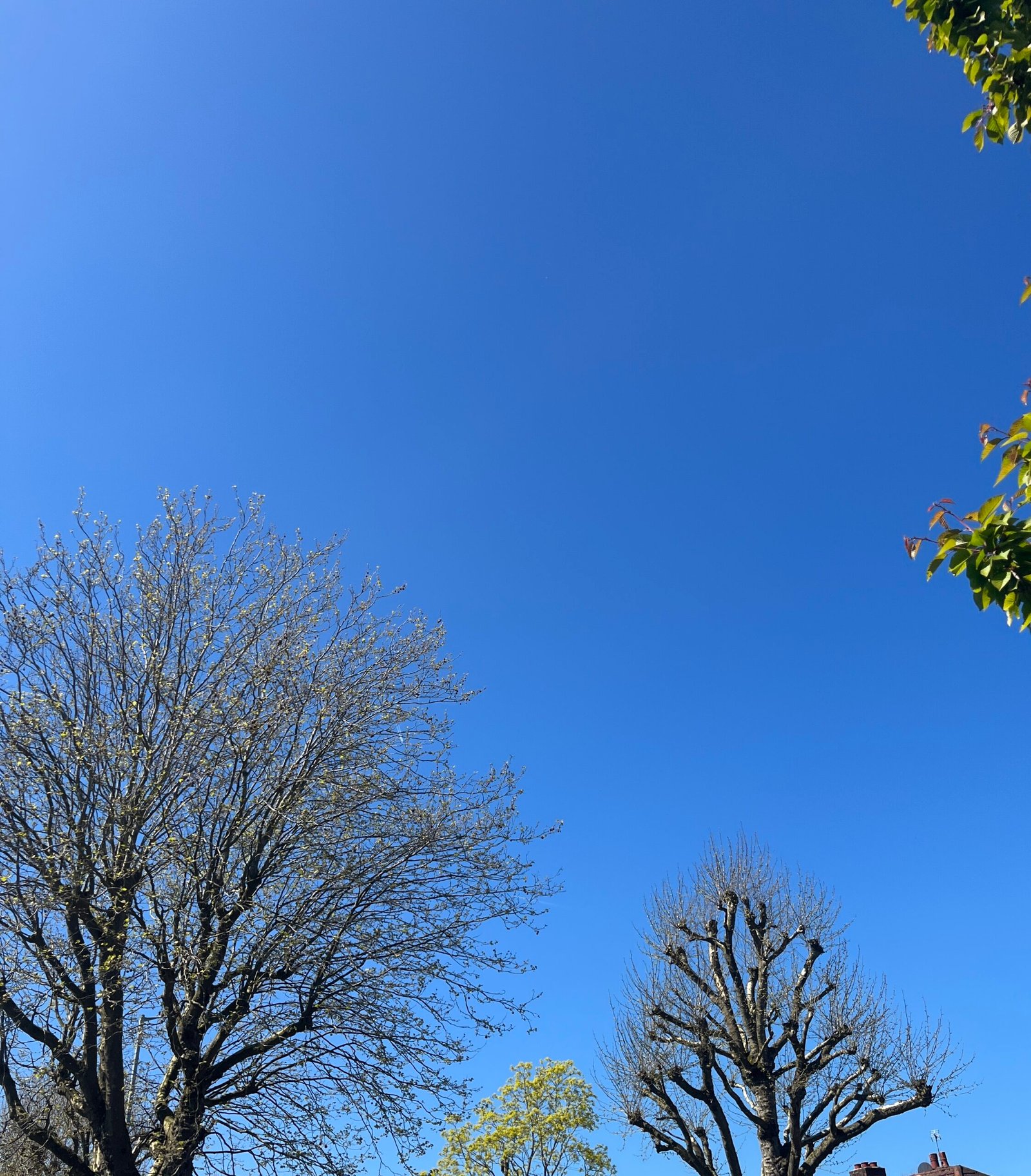 sky